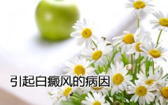 白癜风是什么原因造成的