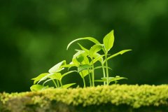 白癜风患者外出游玩要注意什么